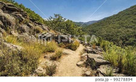 Garganta de los Infiernos Natural Reserve, Valle del Jerte, Spain 99278894