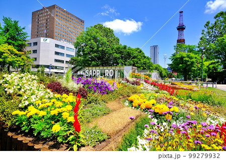 札幌大通公園 99279932