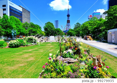 札幌大通公園 99279935