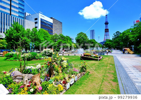 札幌大通公園 99279936