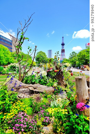 札幌大通公園 99279940