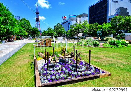札幌大通公園 99279941