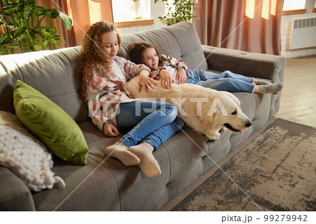 Beautiful purebreed dog, sand color American retriver lying on sofa with two kids, little girls in casual style clothes. Concept of happiness, family, care, animal and vet Beautiful purebreed dog, sand color American retriver lying on sofa with two kids, little girls in casual style clothes. Concept of happiness, family, care, animal and vet 99279942