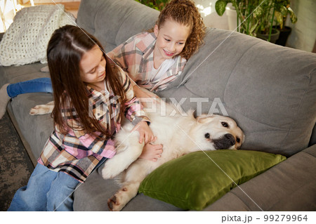 Two little cute happy girls, sisters sitting at home and playing with Golden retriever dog. Children look delighted and cheerful. Concept of friendship, family, care, animal Two little cute happy girls, sisters sitting at home and playing with Golden retriever dog. Children look delighted and cheerful. Concept of friendship, family, care, animal 99279964