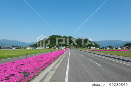 芝桜の咲く国道476号線から越前大野城（福井県大野市） 99280349