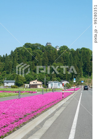 芝桜の咲く国道476号線から越前大野城（福井県大野市） 99280351