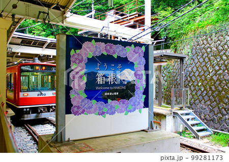 神奈川】6月の箱根 箱根湯本駅の紫陽花の看板と強羅行きの登山電車の写真素材 [99281173] - PIXTA