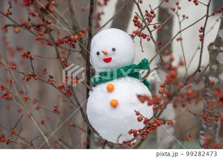 森の中の雪だるま 森の中の雪だるま 99282473