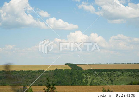 Spikelets of ripe wheat against the blue sky. Background in gold and blue tones. 99284109