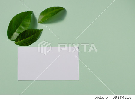 Background from colored sheets of paper and green lemon leaves. Top view, flat lay. Space for text on a white background. Background from colored sheets of paper and green lemon leaves. Top view, flat lay. Space for text on a white background. 99284216