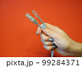 RJ45 network connector on a red background in well-groomed female hands 99284371