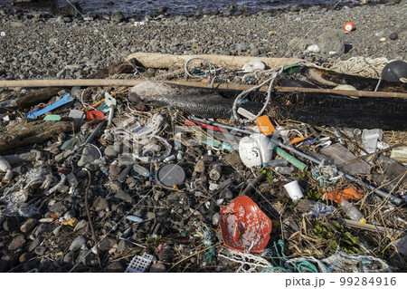 漂着ゴミ 99284916