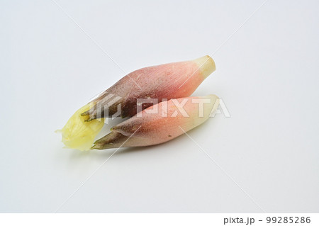 ミョウガ ミョウガ 99285286