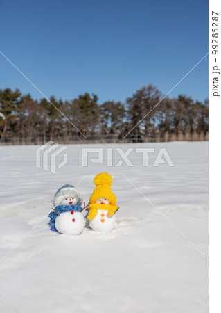 晴天の雪原とペアの雪だるま 99285287
