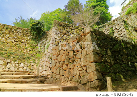 備中松山城　天守へ続く石段と石垣 99285645