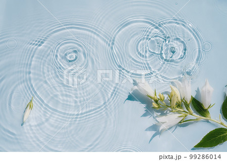 Natural organic water surface background with spring flowers Natural organic water surface background with spring flowers 99286014