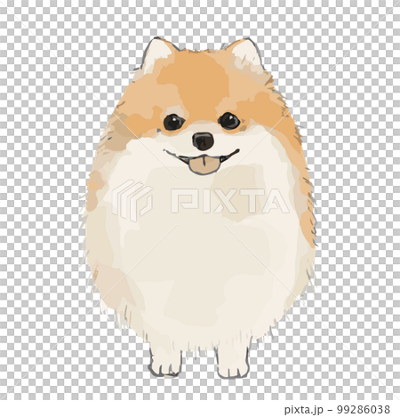 博美犬素描風格插圖 博美犬素描風格插圖 99286038