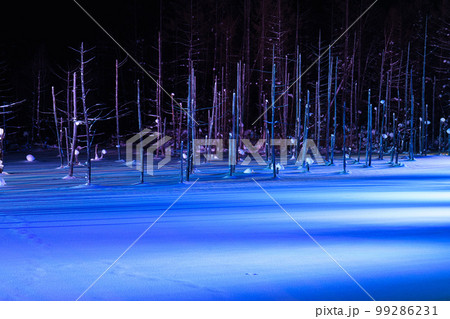 美瑛　青い池 ライトアップ　冬の北海道観光1月 99286231