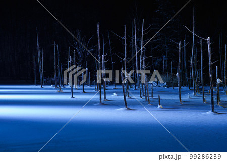 美瑛　青い池 ライトアップ　冬の北海道観光1月 99286239