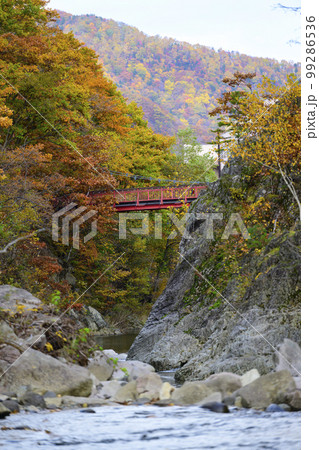 北海道 定山渓の「二見吊橋」と紅葉 99286536