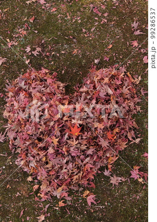 恋愛紅葉（ハートモミジ） ラブ 秋 背景　素材　グラデーション　自然のアート 99286537