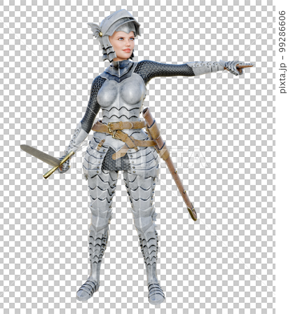 シルバー ナイト 99286606