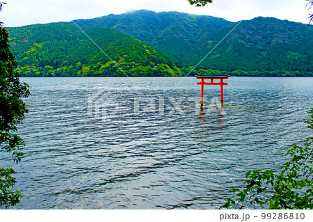 【神奈川】初夏の箱根　九頭龍神社の湖上の鳥居 99286810