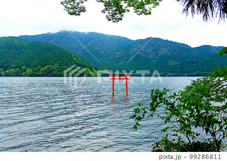 【神奈川】初夏の箱根　九頭龍神社の湖上の鳥居 99286811