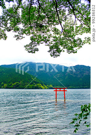 【神奈川】初夏の箱根　九頭龍神社の湖上の鳥居 99286812
