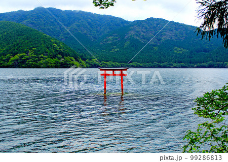 【神奈川】初夏の箱根　九頭龍神社の湖上の鳥居 99286813