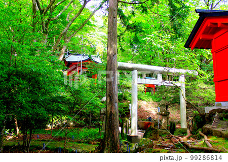 【神奈川】初夏の箱根　九頭龍神社本宮と石鳥居 99286814
