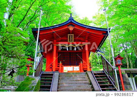 【神奈川】初夏の箱根　九頭龍神社本宮と鮮やかな緑 99286817