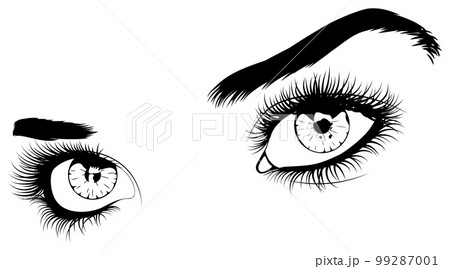 Black and white eyes and brows 99287001