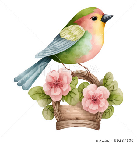 Spring Love Bird Watercolor Illustration with cute flowers basket and leaves 99287100