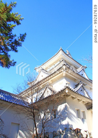 大垣市、大垣城の風景 大垣市、大垣城の風景 99287639
