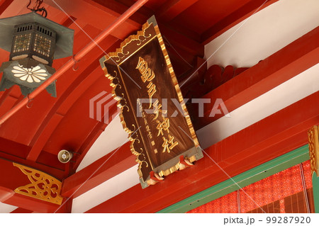 亀戸天神の梅まつり 亀戸天満宮 うめ 紅梅 白梅 東京都江東区亀戸 亀戸天神の梅まつり 亀戸天満宮 うめ 紅梅 白梅 東京都江東区亀戸 99287920