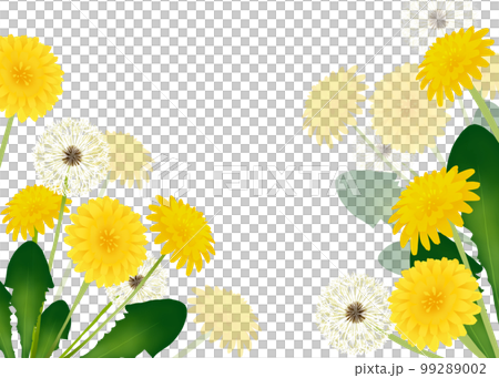 蒲公英花背景 蒲公英花背景 99289002