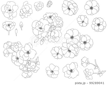 桜の描き方 八重桜 - YouTube