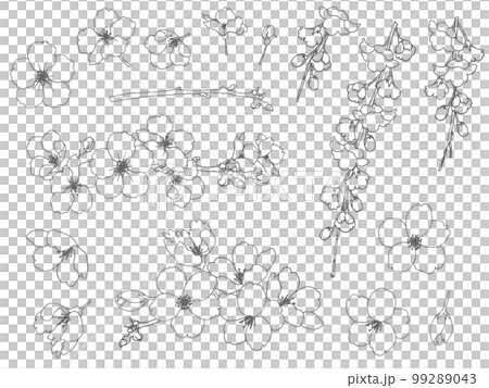桜のモノトーン手描き線画素材セット 桜のモノトーン手描き線画素材セット 99289043