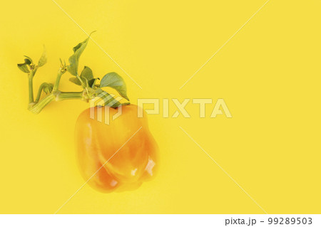 Pepper. Fresh early sweet pepper. Pepper vegetable on a bright background 99289503