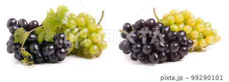 bunch of green and blue grape with leaves isolated on white background bunch of green and blue grape with leaves isolated on white background 99290101