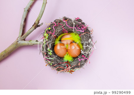 easter eggs in nest on pink background with branch. colourful flat lay with feathers 99290499