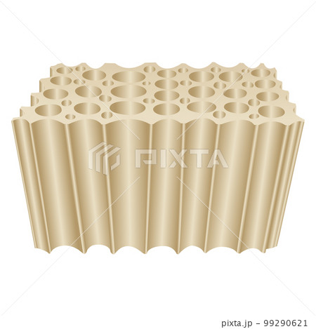 Cellular wooden structure, cut of tree macro texture, vector Cellular wooden structure, cut of tree macro texture, vector 99290621