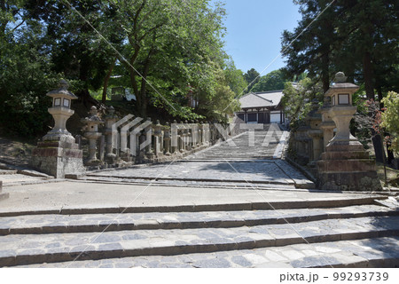 東大寺 三月堂への参道 奈良県奈良市 東大寺 三月堂への参道 奈良県奈良市 99293739