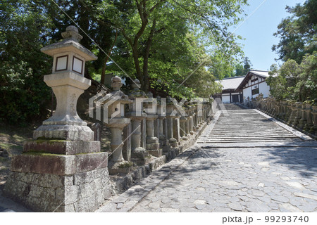 東大寺　三月堂への参道　奈良県奈良市 99293740