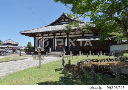 東大寺　三月堂　奈良県奈良市 99293743