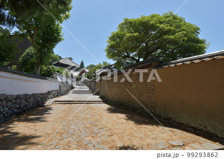東大寺　二月堂への参道　奈良県奈良市 99293862