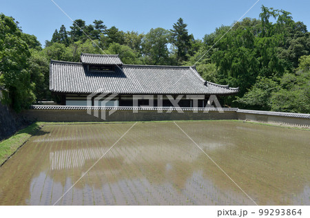 東大寺　大湯屋と稲田　奈良県奈良市 99293864