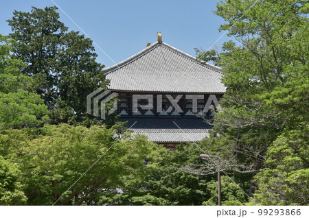 東大寺　大仏殿　奈良県奈良市 99293866