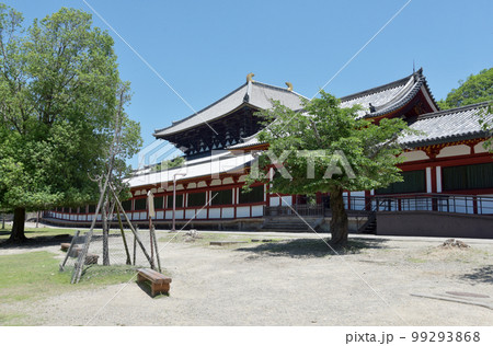 東大寺　西回廊と大仏殿　奈良県奈良市 99293868
